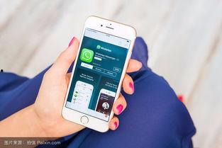 云水怒手机在线观看,手机在线观看,揭秘神秘江湖风云 第2张 云水怒手机在线观看,手机在线观看,揭秘神秘江湖风云 第2张